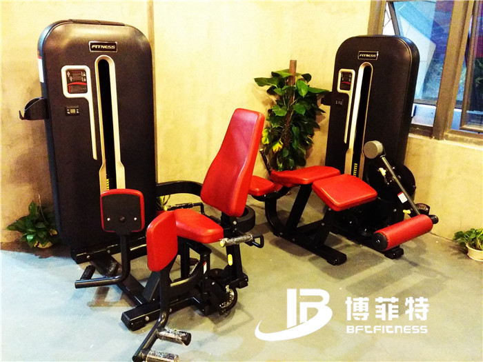 Guangzhou BFT Fitness Equipment Co., Ltd. Customer's Gym Photo