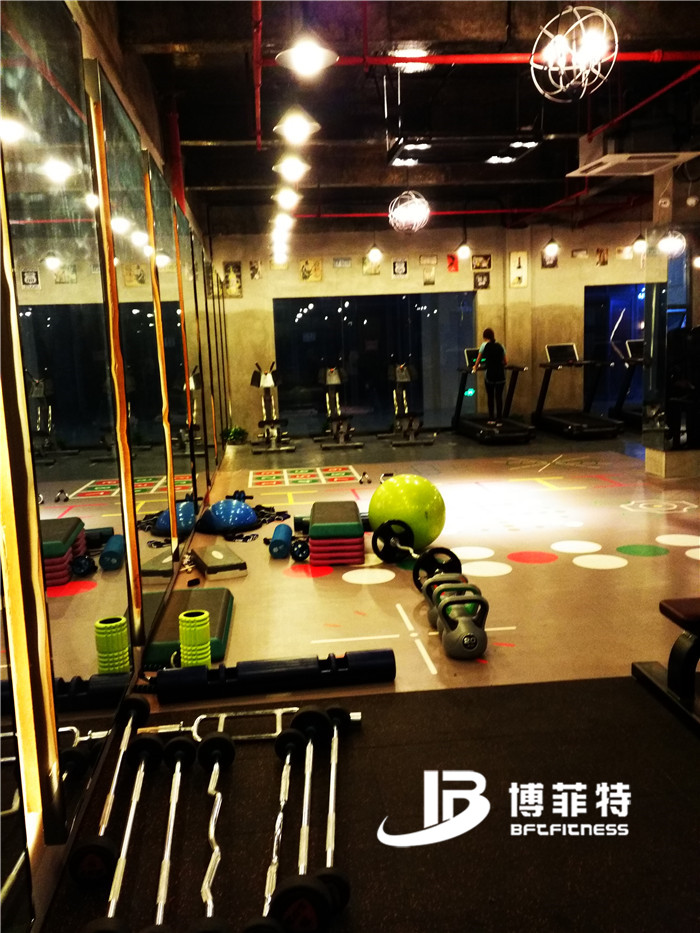 Guangzhou BFT Fitness Equipment Co., Ltd. Customer's Gym Photo